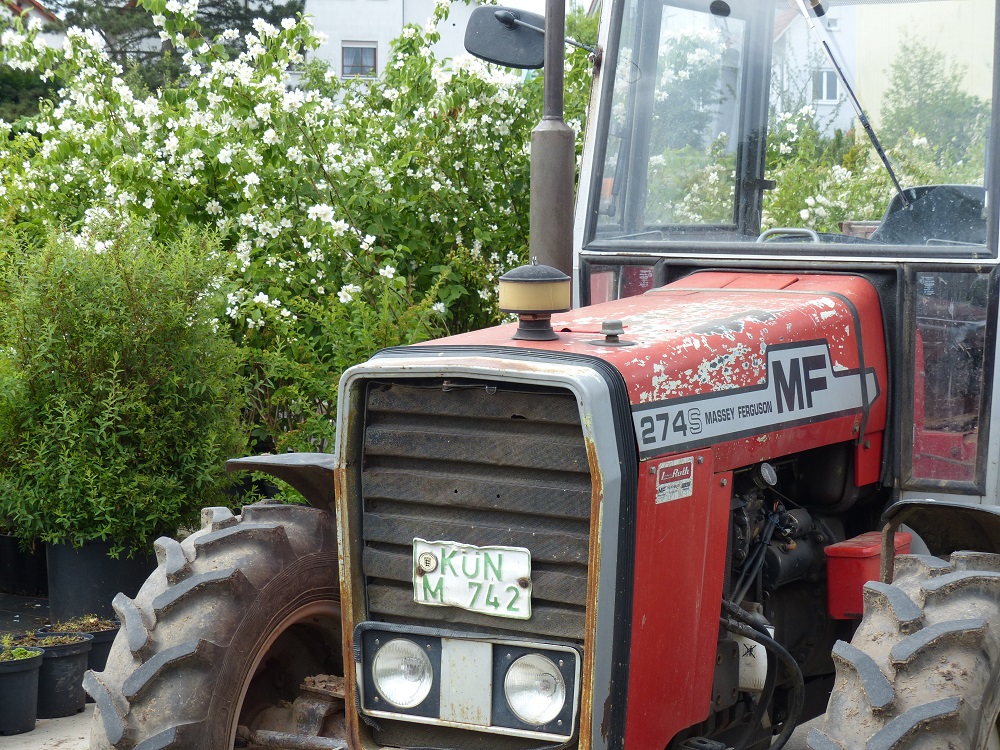 Vogg_Sommer_2016 11.jpg